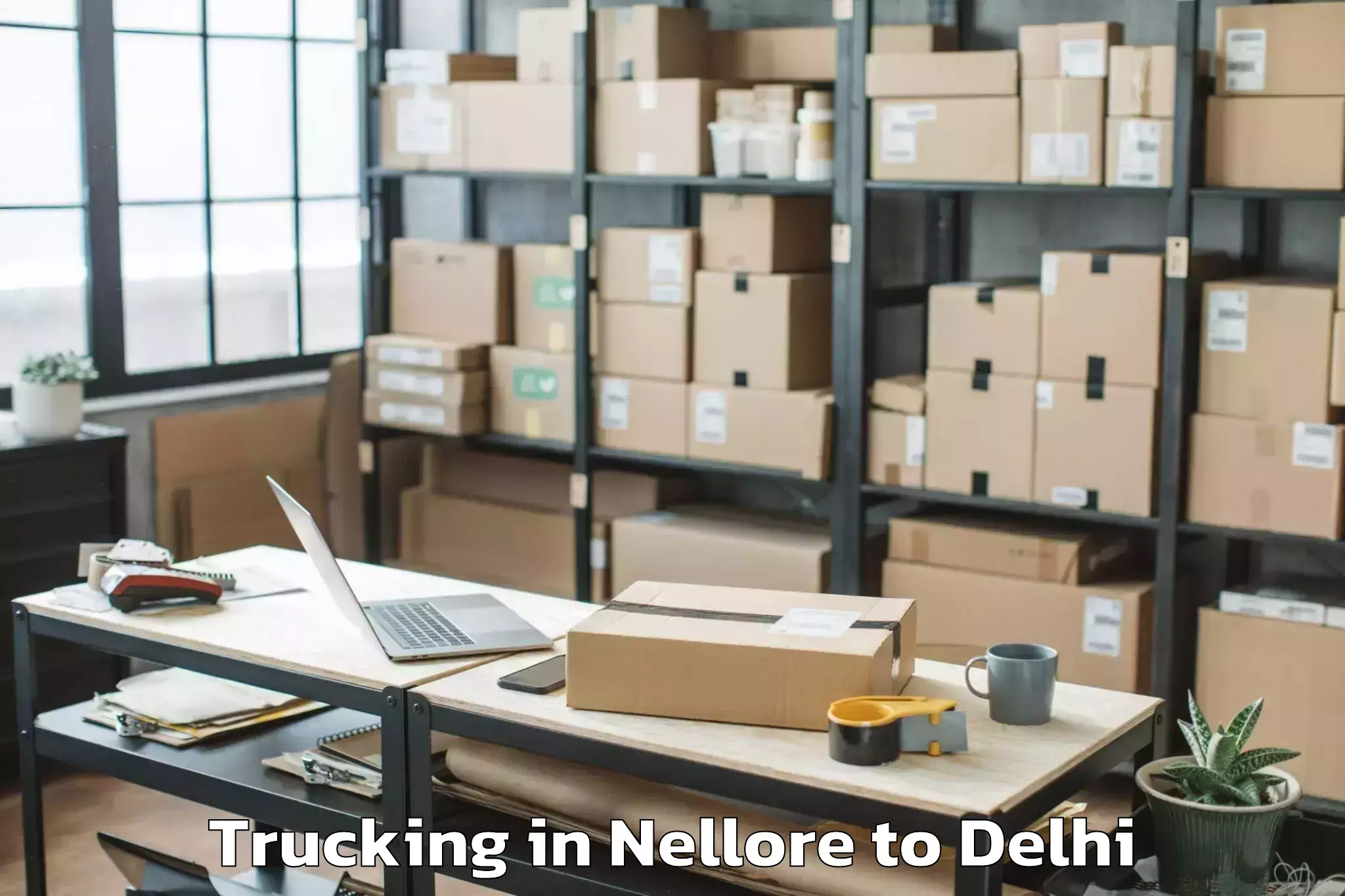 Reliable Nellore to Aggarwal City Mall Pitampura Trucking